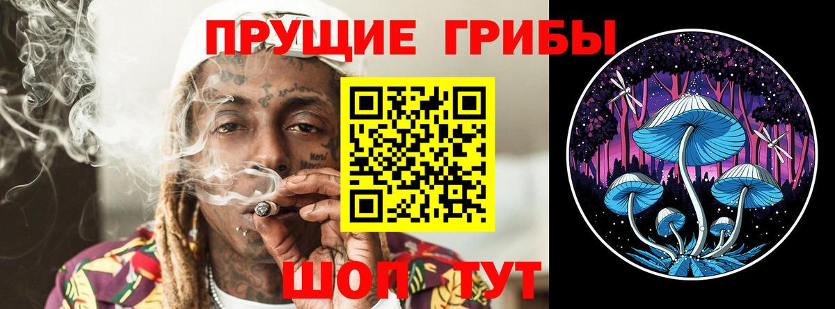 Галлюциногенные грибы мицелий Артём
